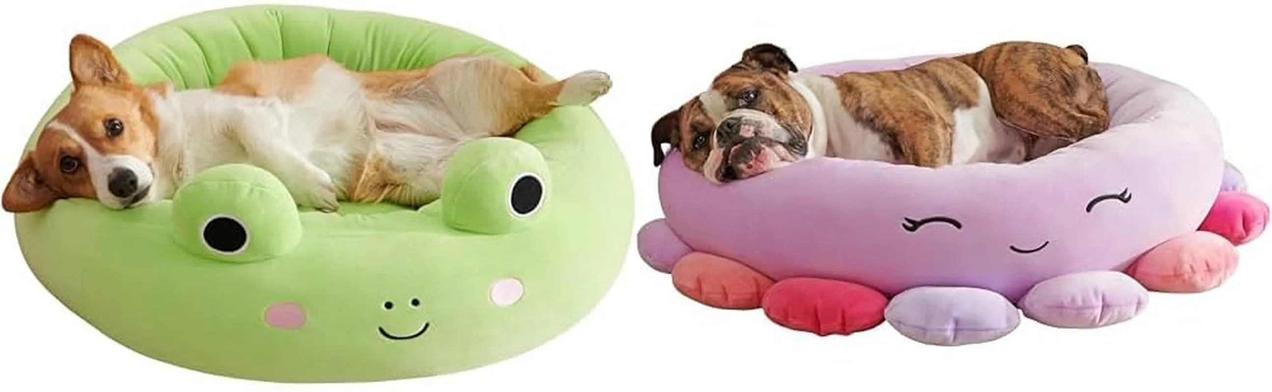 20-Inch Wendy Frog Pet Bed
