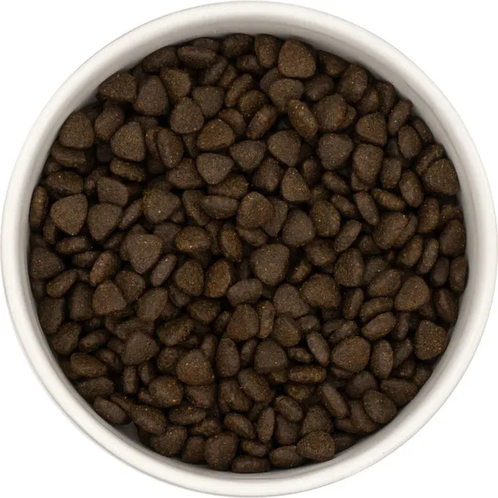 Alpha Pup Scottish Salmon | Posh Nosh For Puppies