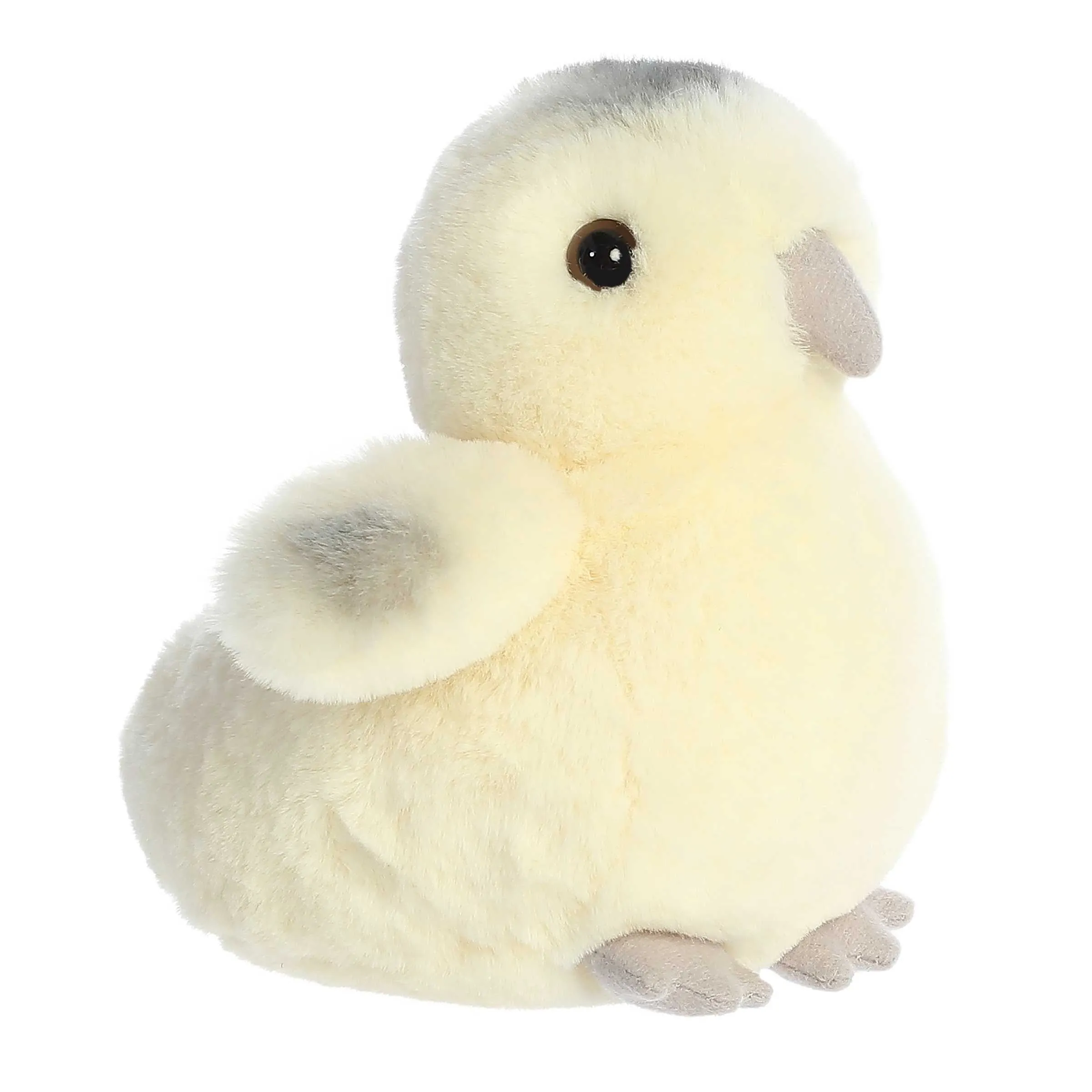 Aurora® - Mini Flopsie™ - 8" Ameraucana Chick
