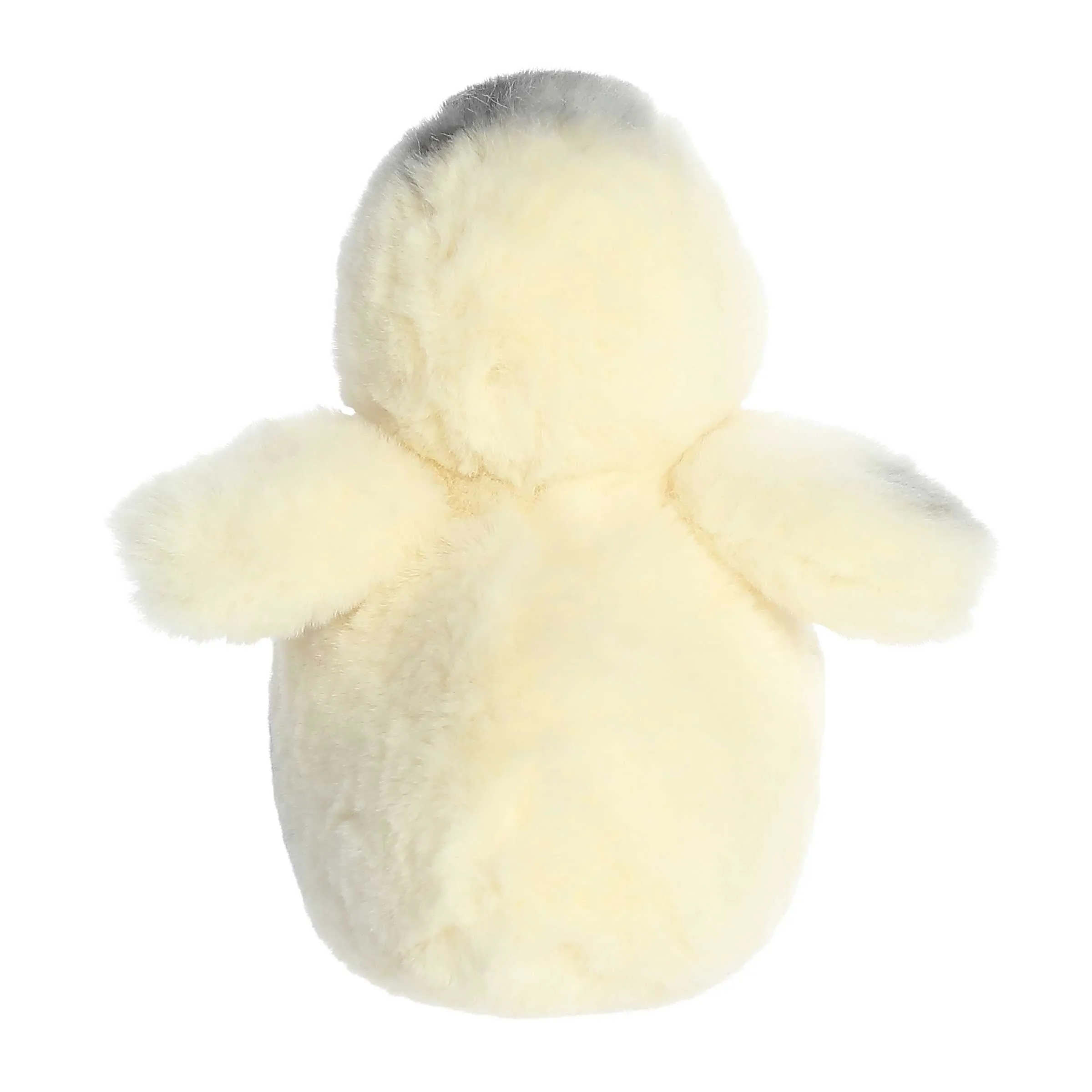 Aurora® - Mini Flopsie™ - 8" Ameraucana Chick