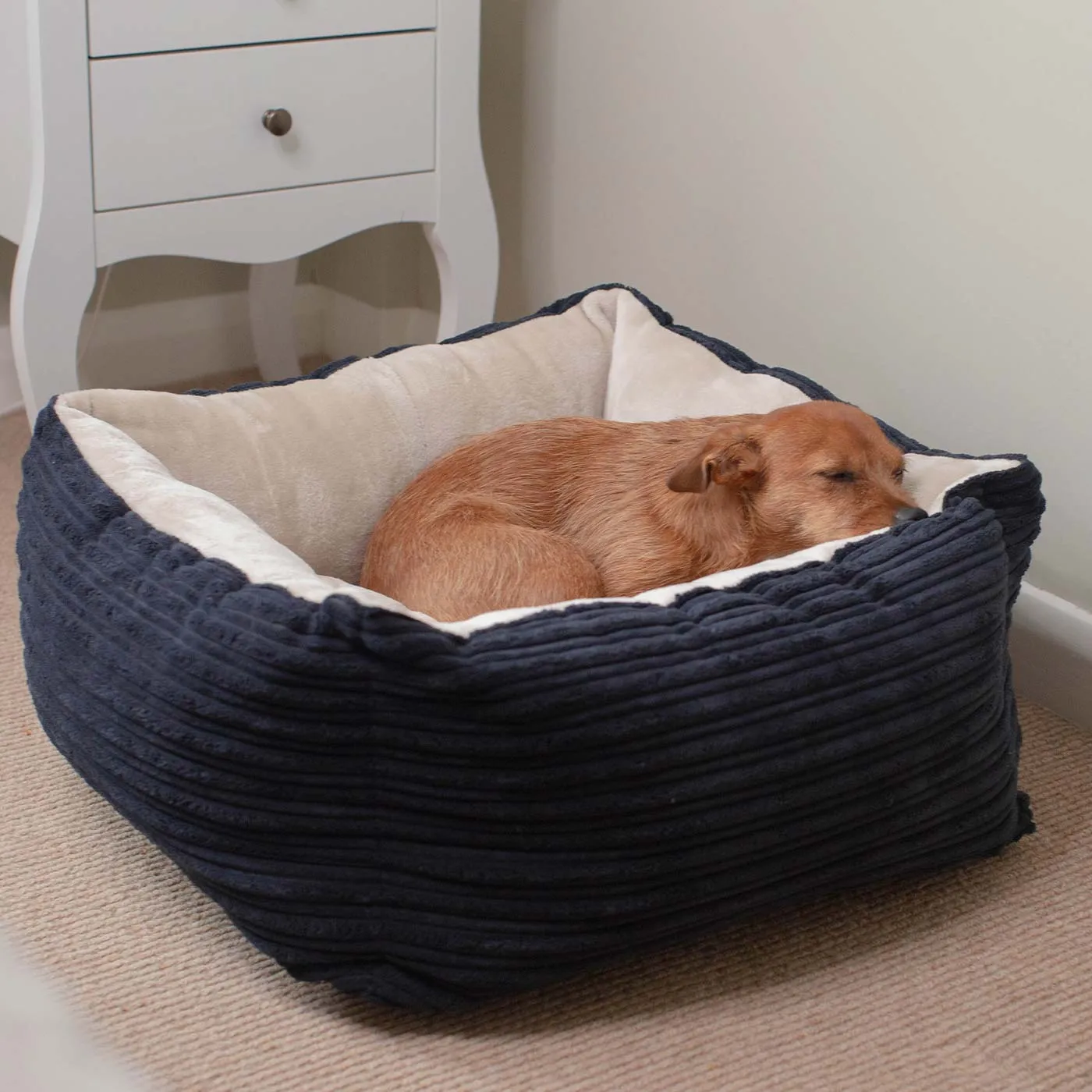 Box Bed With Removable Covers in Essentials Plush by Lords & Labradors