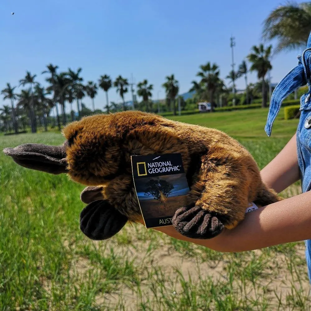 Brown Platypus Plush Toy
