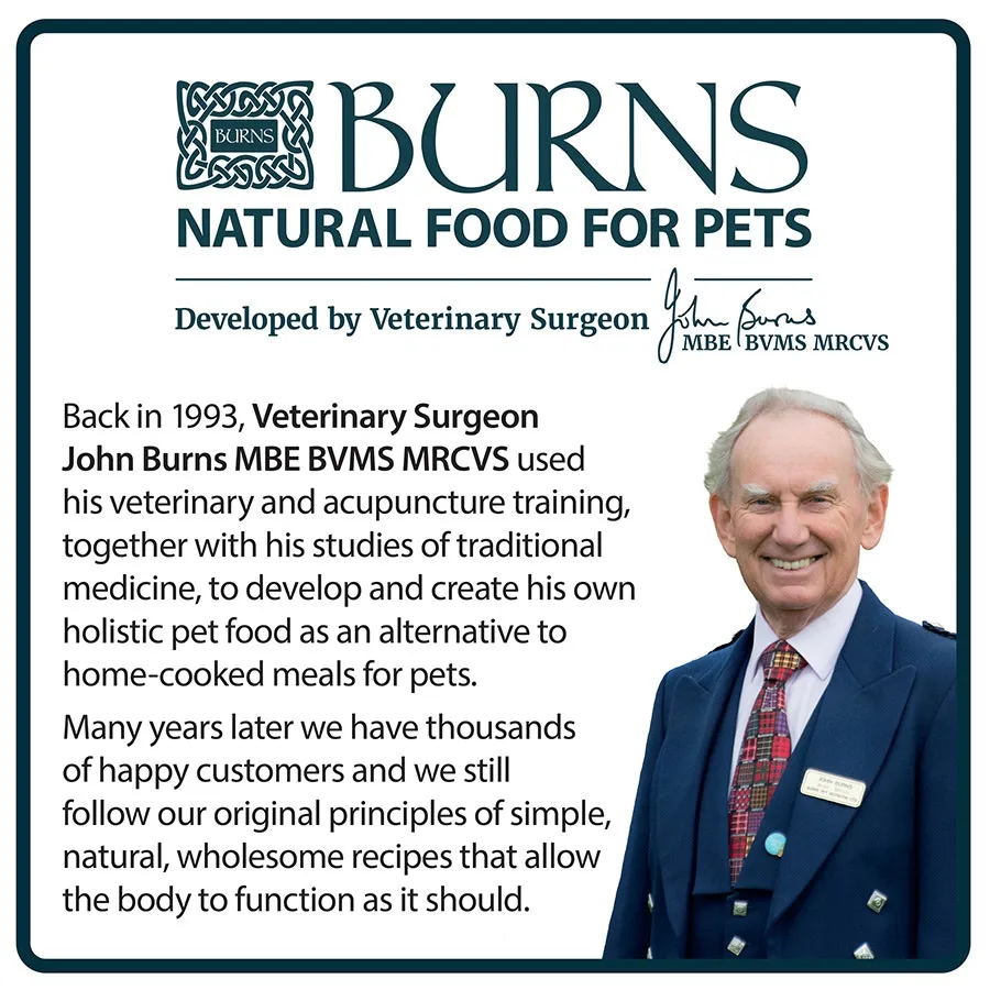 Burns Original Puppy Dry Dog Food Chicken & Rice 2kg