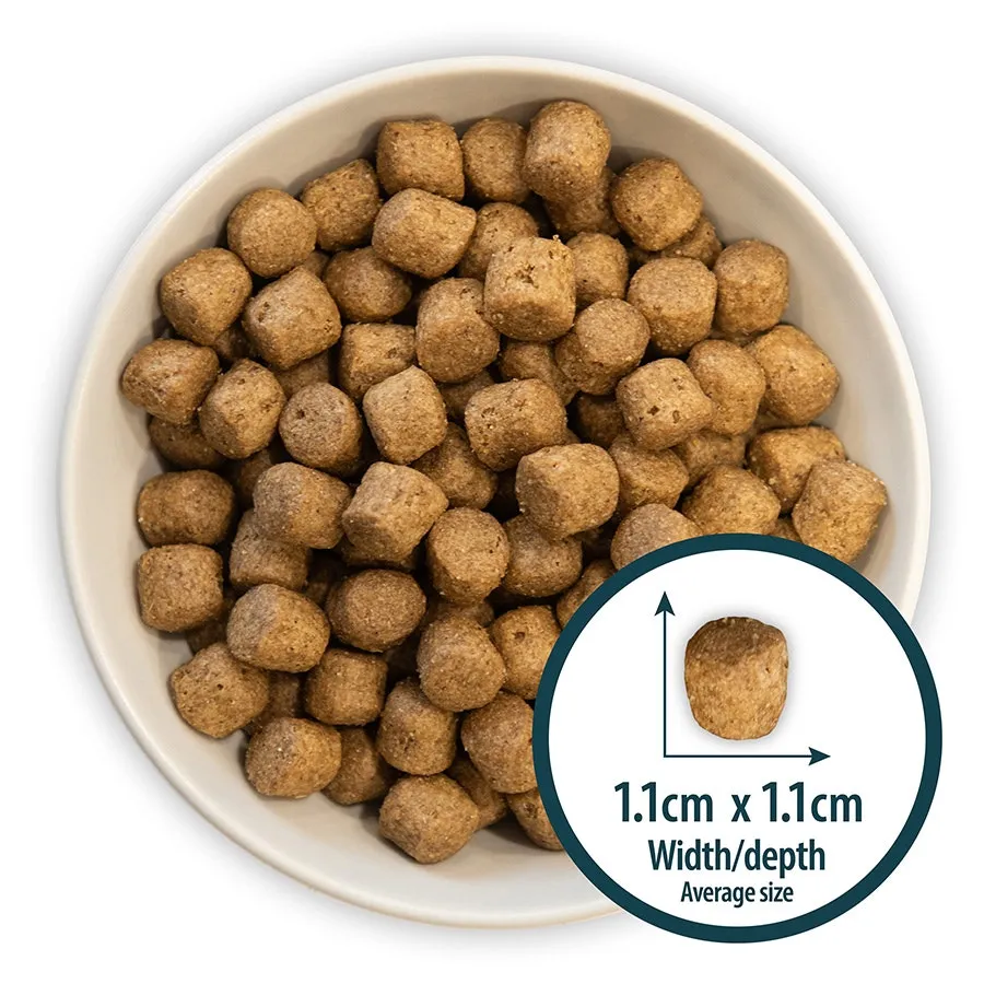 Burns Original Puppy Dry Dog Food Chicken & Rice 2kg
