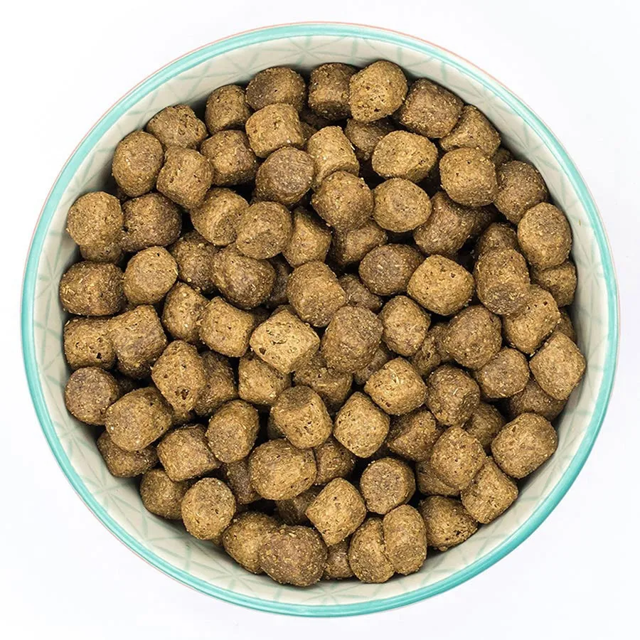 Burns Original Puppy Dry Dog Food Chicken & Rice 2kg