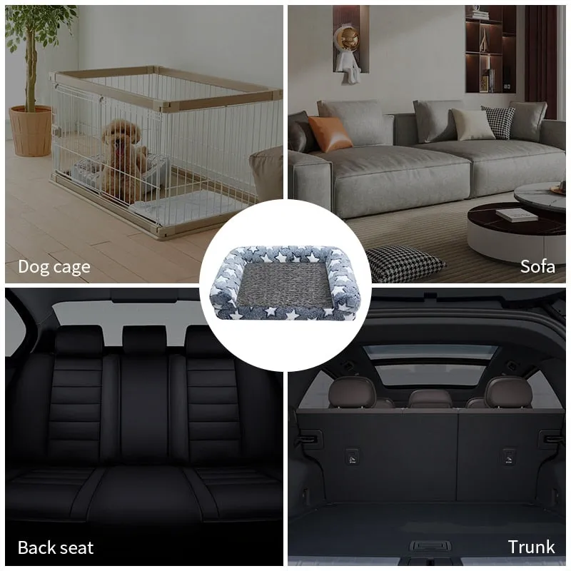 Cushioned Sofa Bed