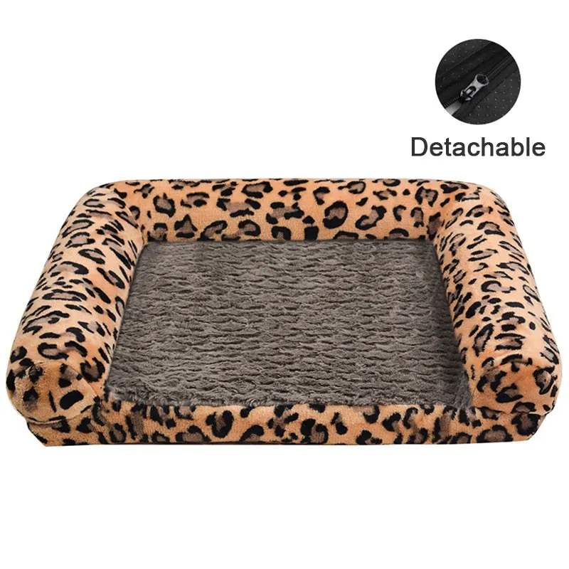 Cushioned Sofa Bed