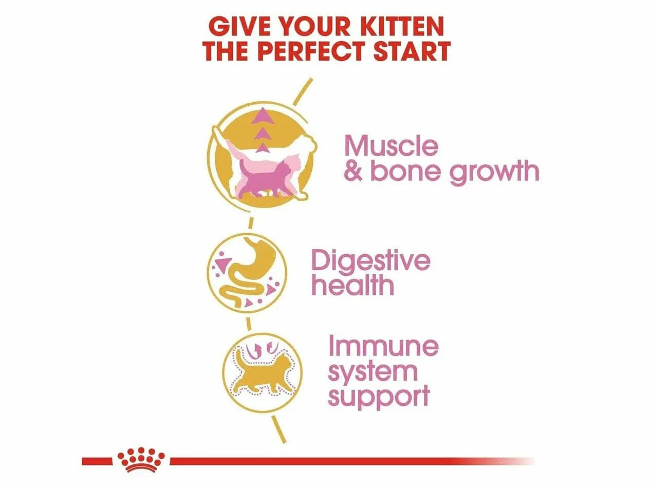 Feline Breed Nutrition British Shorthair Kitten 2 KG