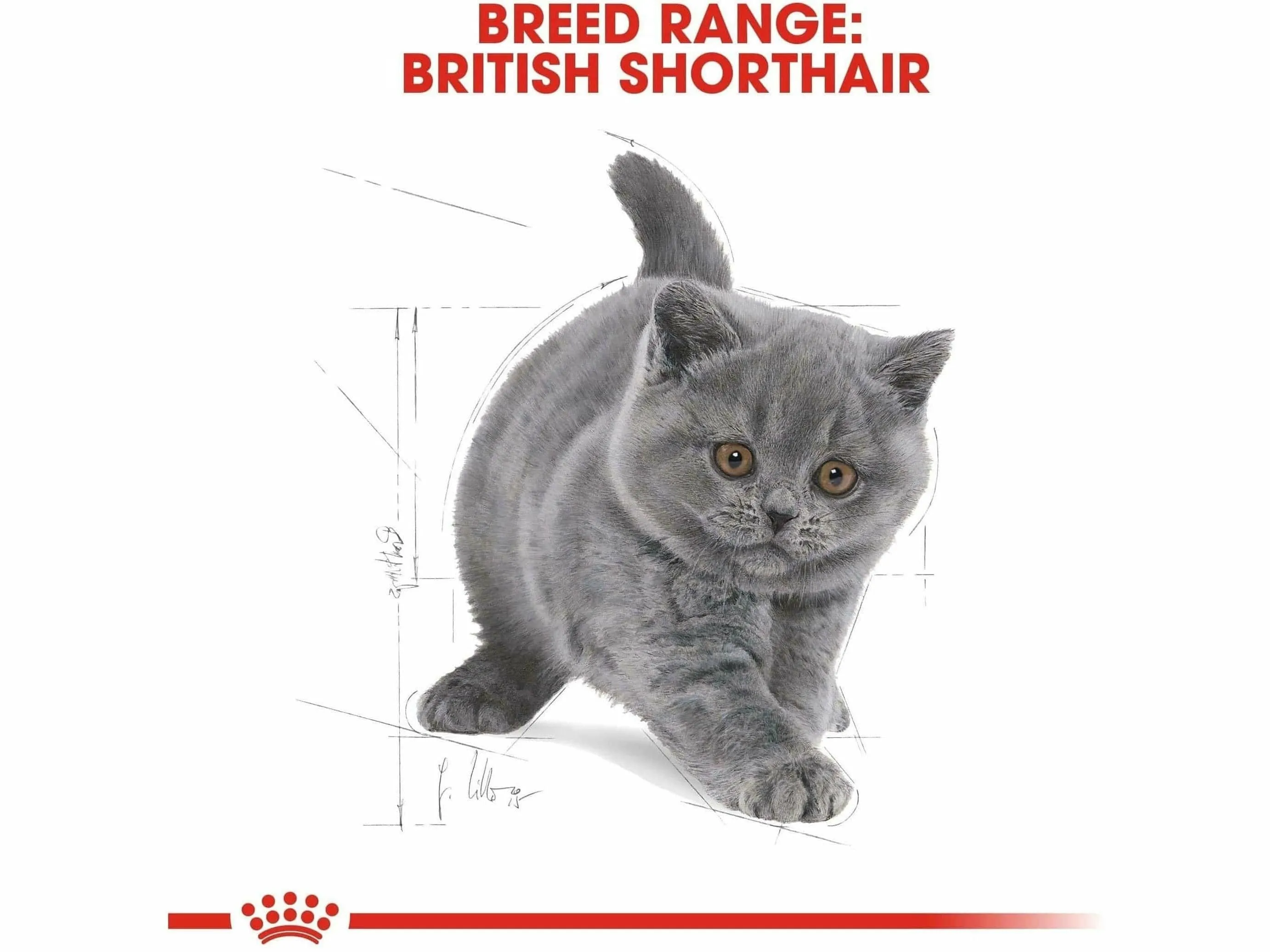 Feline Breed Nutrition British Shorthair Kitten 2 KG