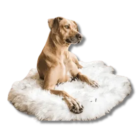 Fluffy Dog Rug
