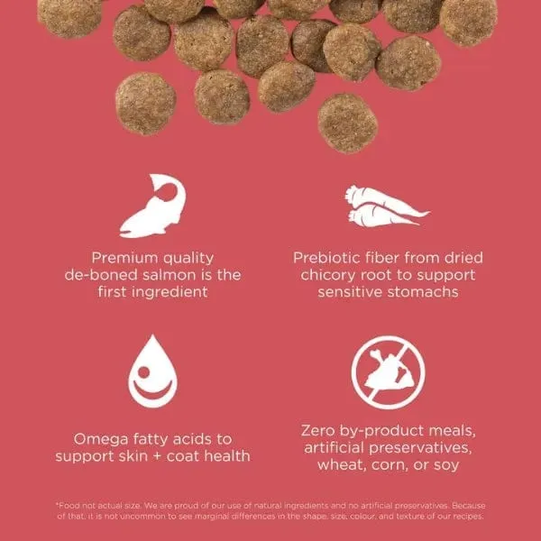 Go! Solutions Sensitivities Limited Ingredient Grain Free Salmon Recipe Dry Dog Food