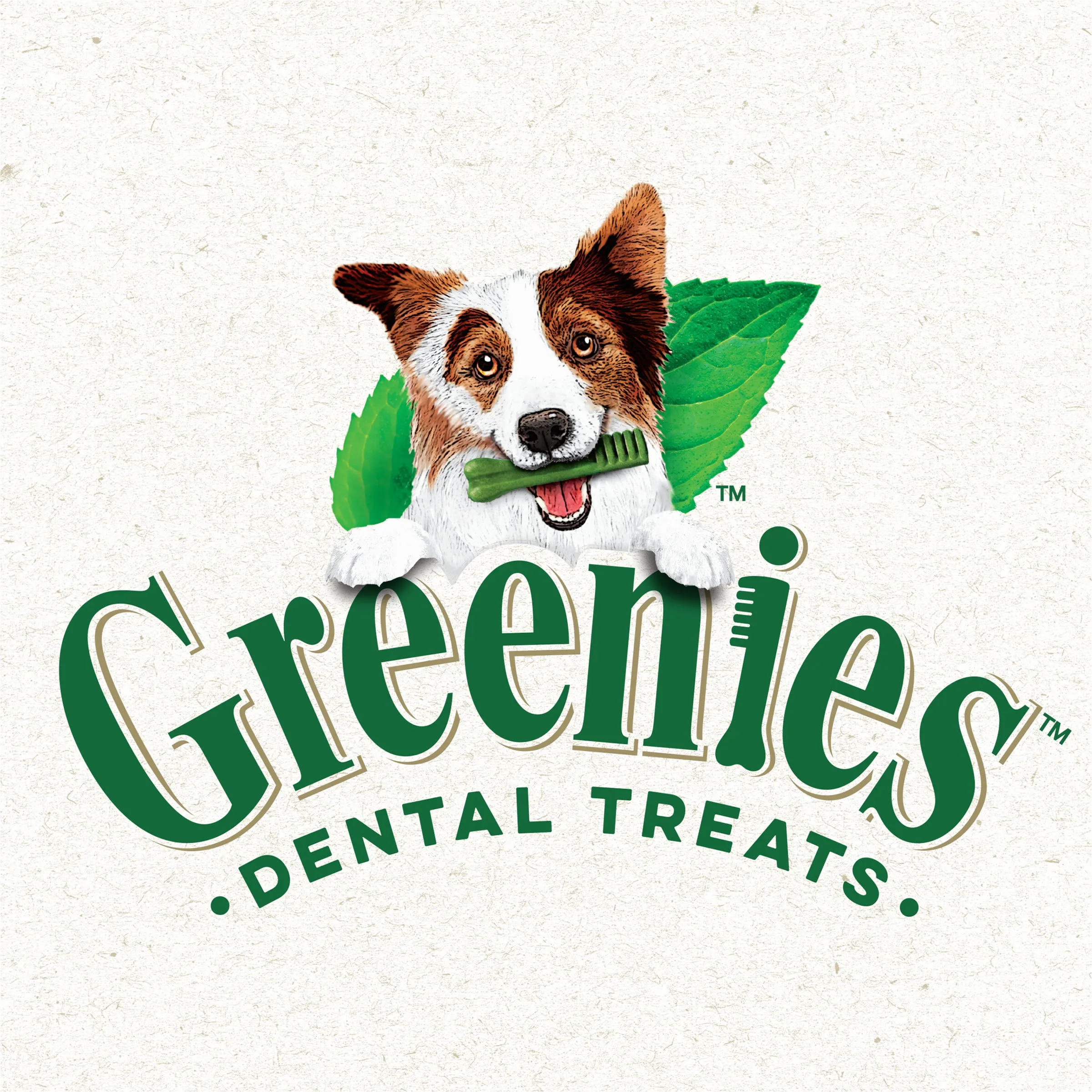 Greenies Dog Sweet Potato Dental Health Treats for Regular Dogs 340g