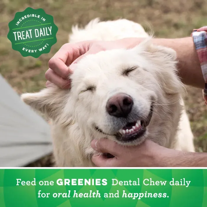 GREENIES Grain Free Large Dental Treats, 8 Count