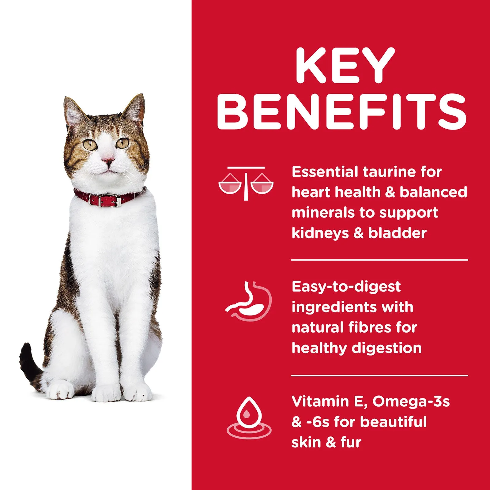 Hill's Science Diet Cat Food Adult 7  Senior