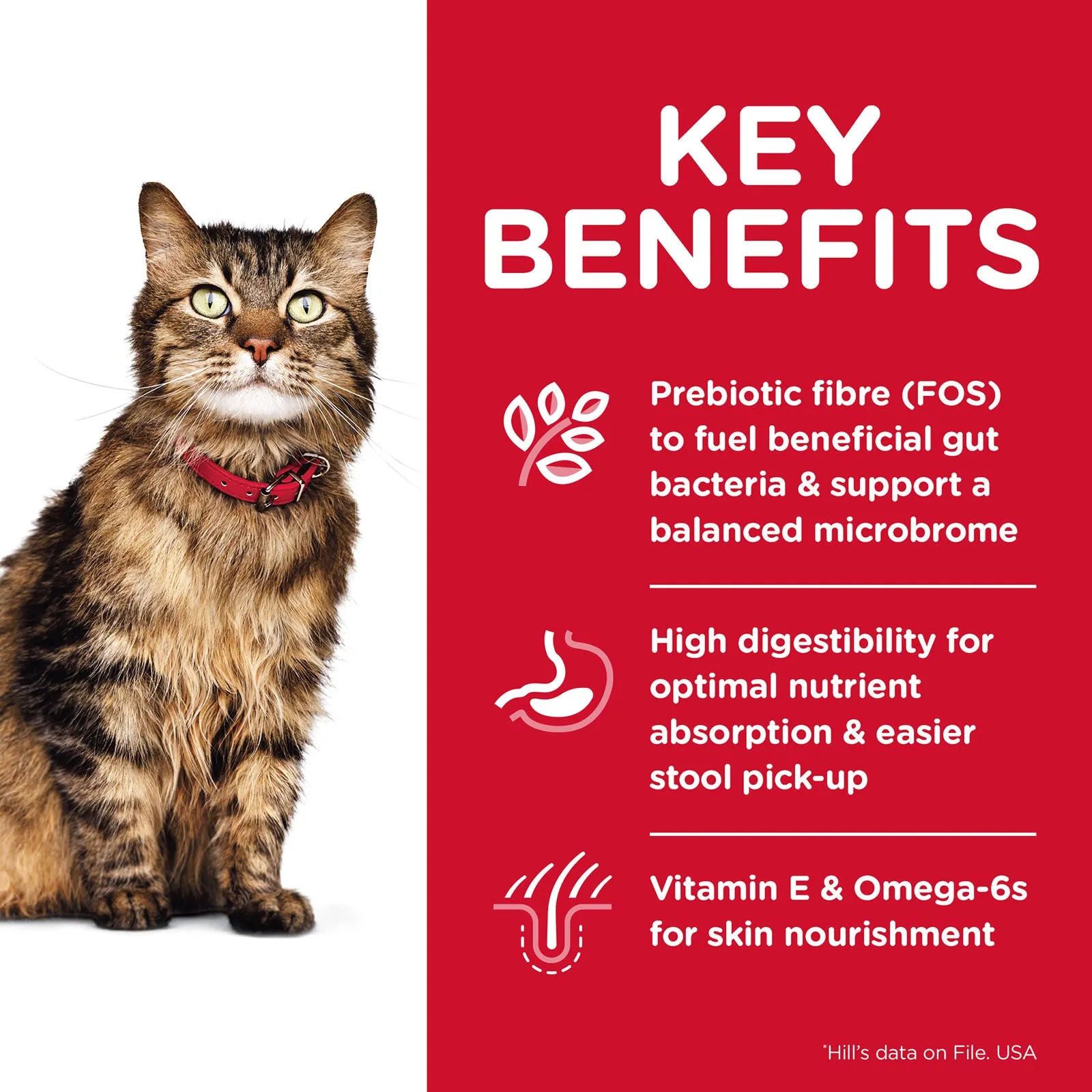 Hill's Science Diet Cat Food Adult Sensitive Stomach & Skin