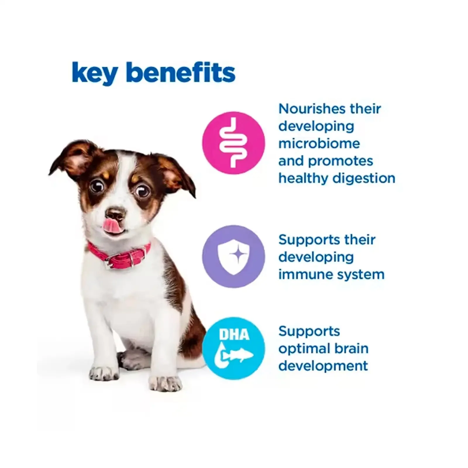 Hill's VetEssentials Diet - Canine Puppy Medium