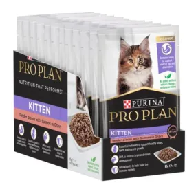 Kitten Salmon in Gravy Pouches