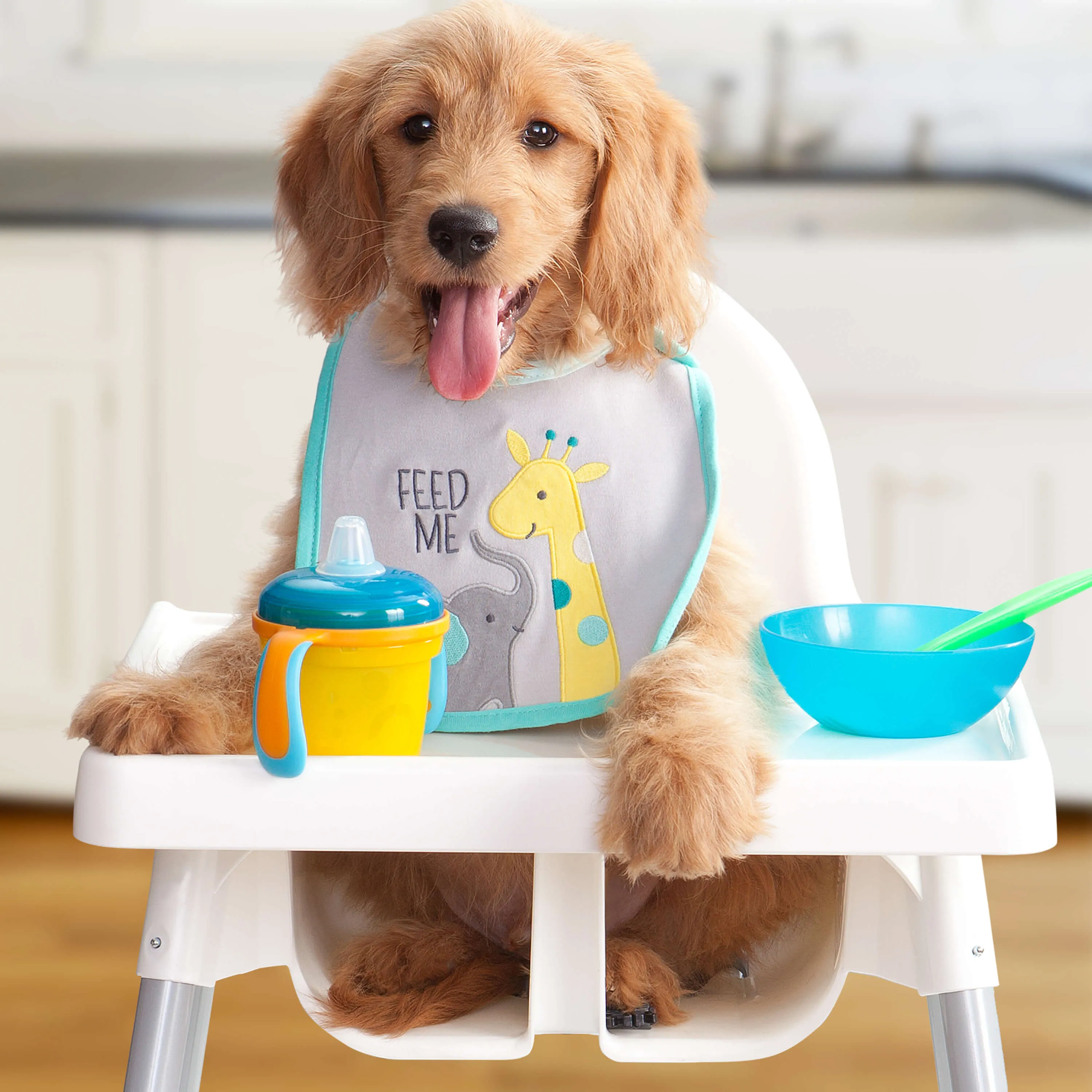Large Breed Puppy Gold Dry Dog Food from Fromm