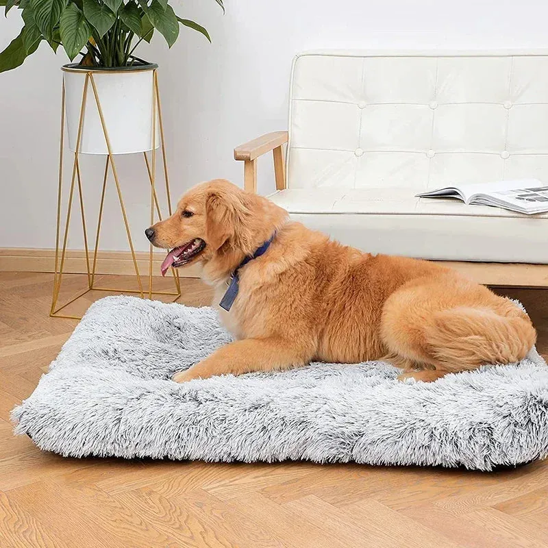Luxurious Plush Pet Bed with Memory Foam and Heat-Reflective Features