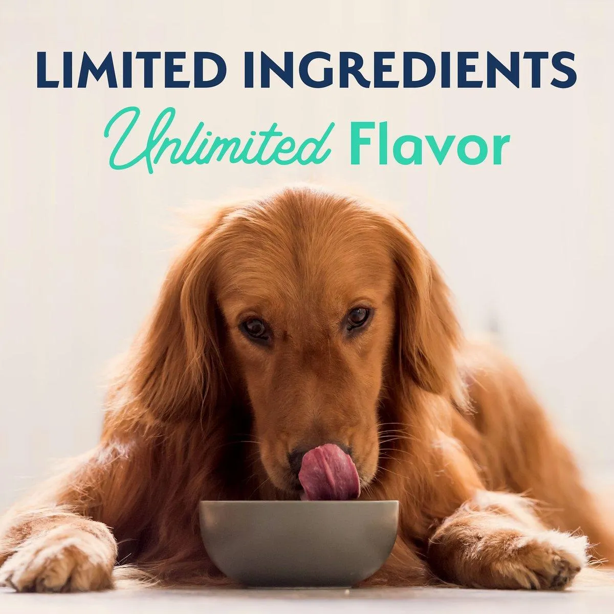 Natural Balance Limited Ingredient Diet Sweet Potato & Chicken Dog Food
