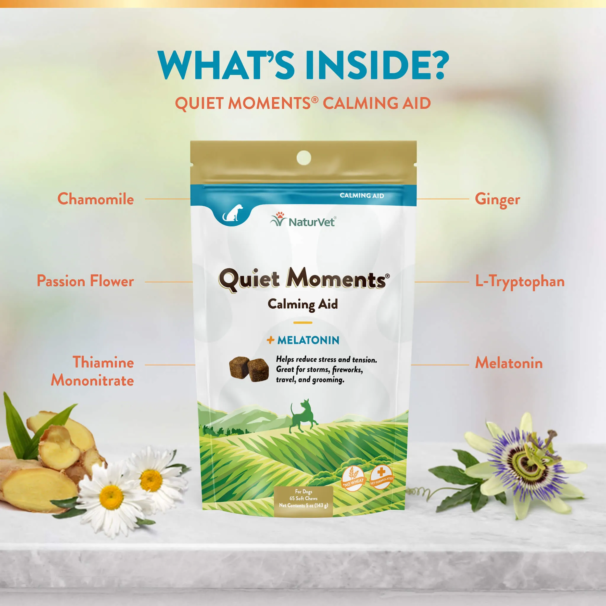 NaturVet Calming Aid