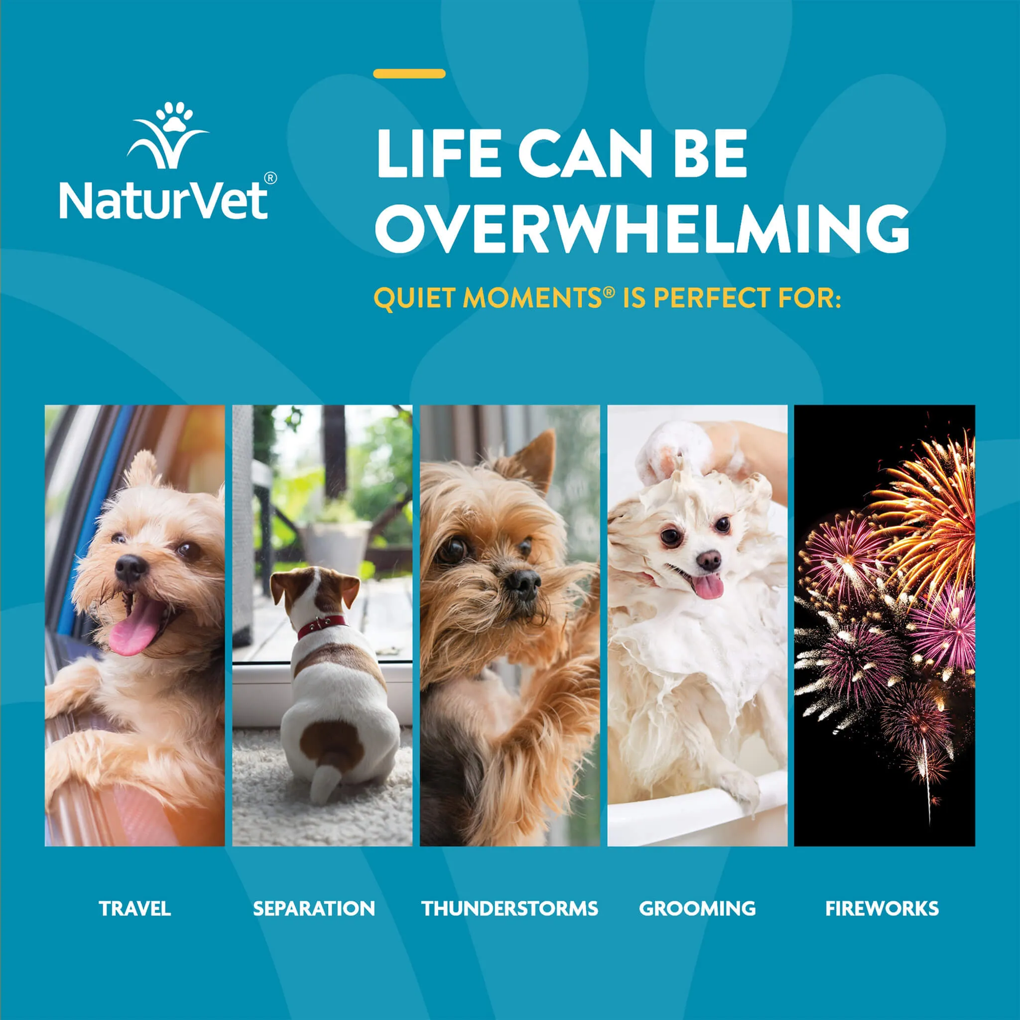 NaturVet Calming Aid