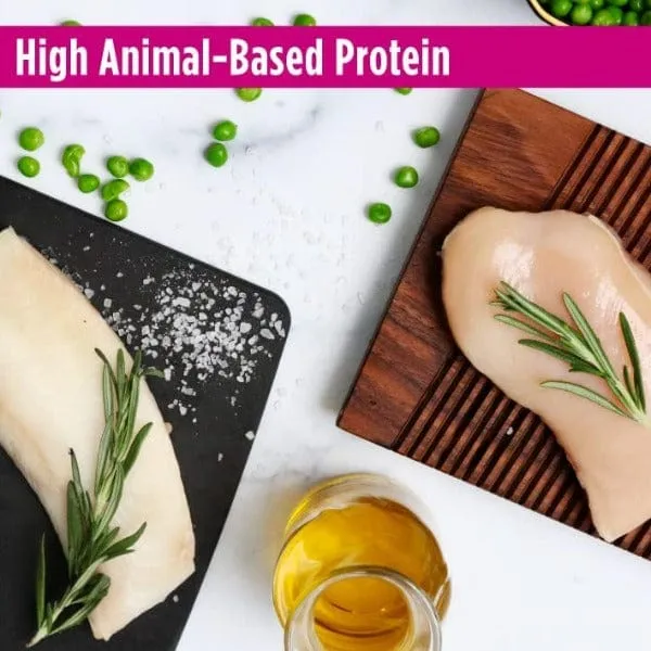 Nulo Freestyle Grain-Free Cat & Kitten Recipe Dry Cat Food; Chicken & Cod