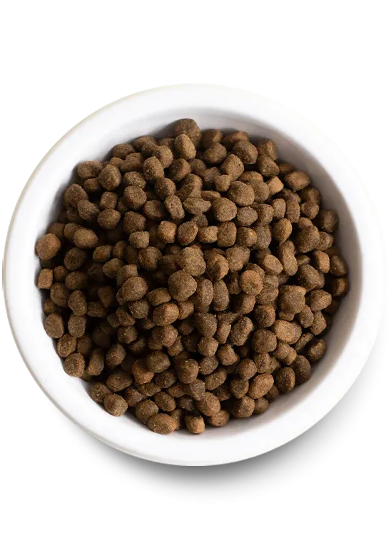 Open Farm - Farmer's Table Pork & Ancient Grains - Dry Dog Food