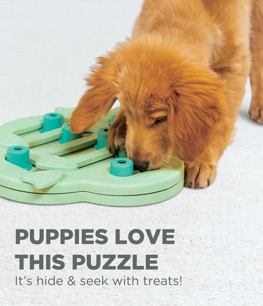 Outward Hound - Nina Ottosson Puzzle - Puppy Hide and Slide