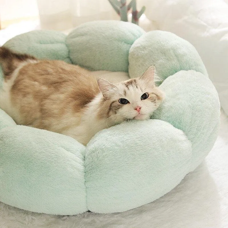 Petal Purr Fancy Cat Bed