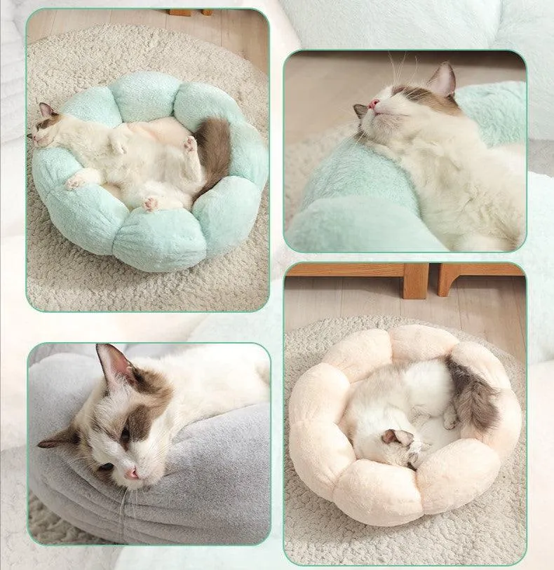 Petal Purr Fancy Cat Bed