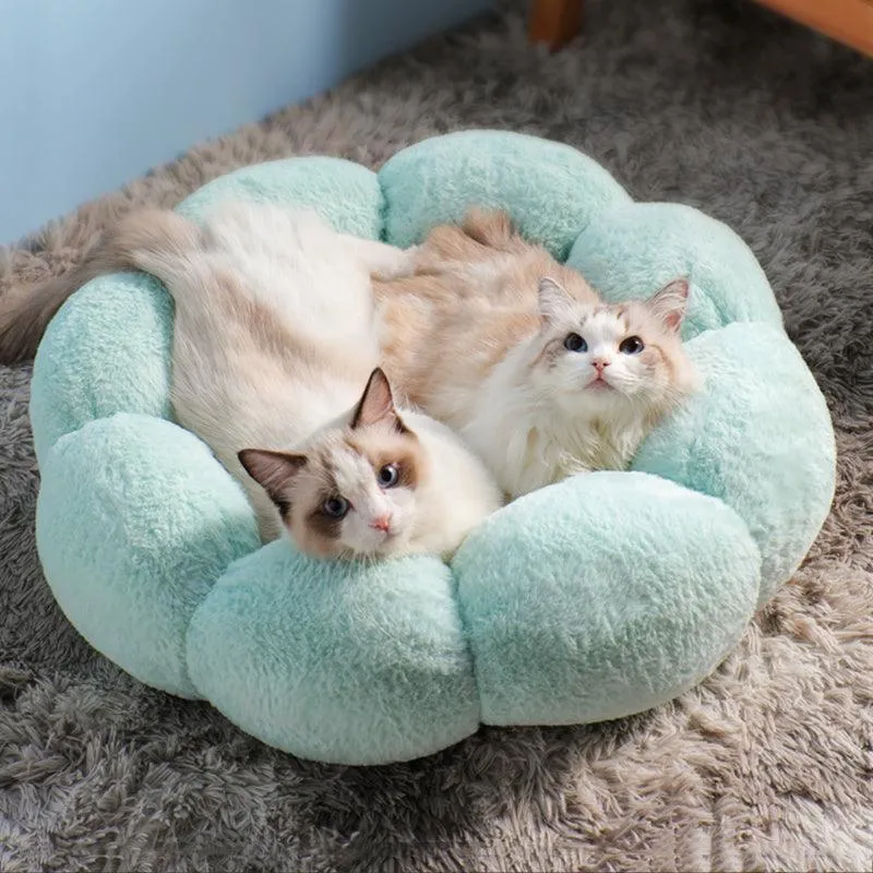 Petal Purr Fancy Cat Bed