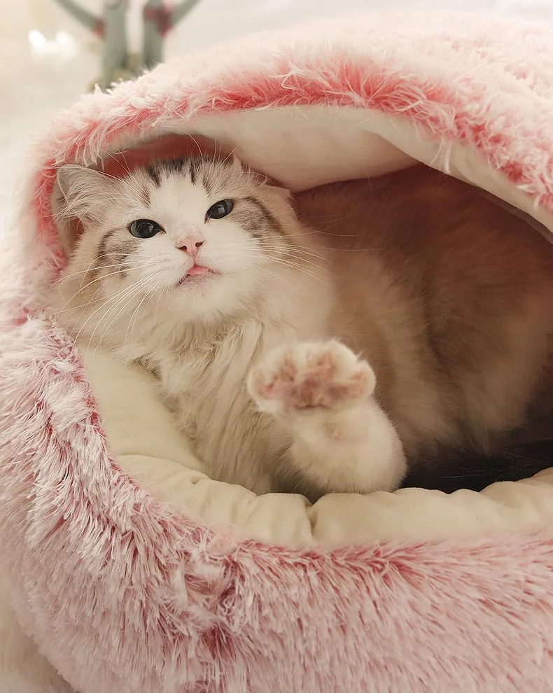 Plush Burrow Blanket Bed