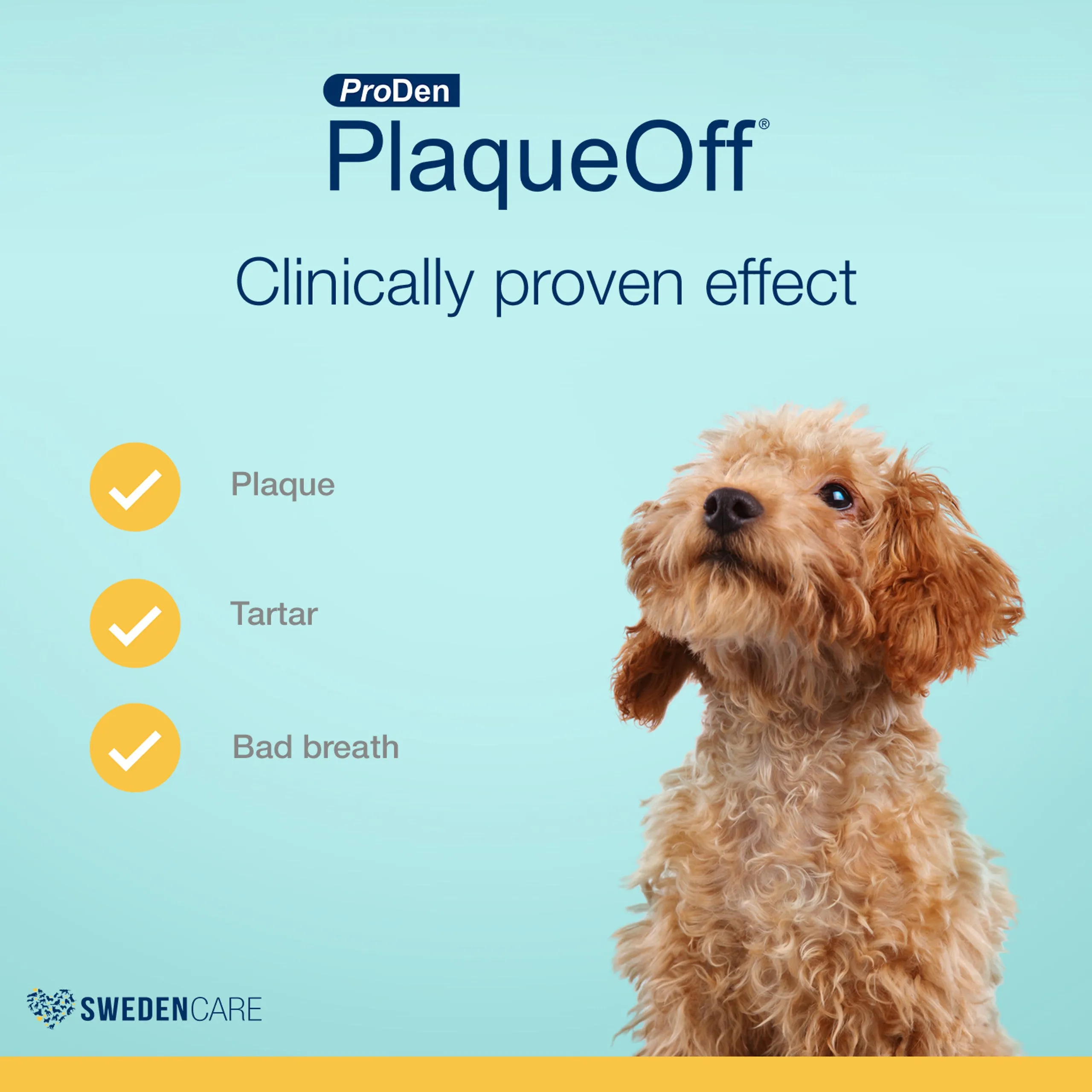 ProDen Plaque Off - Dental Dog Bones - Mint Fusion
