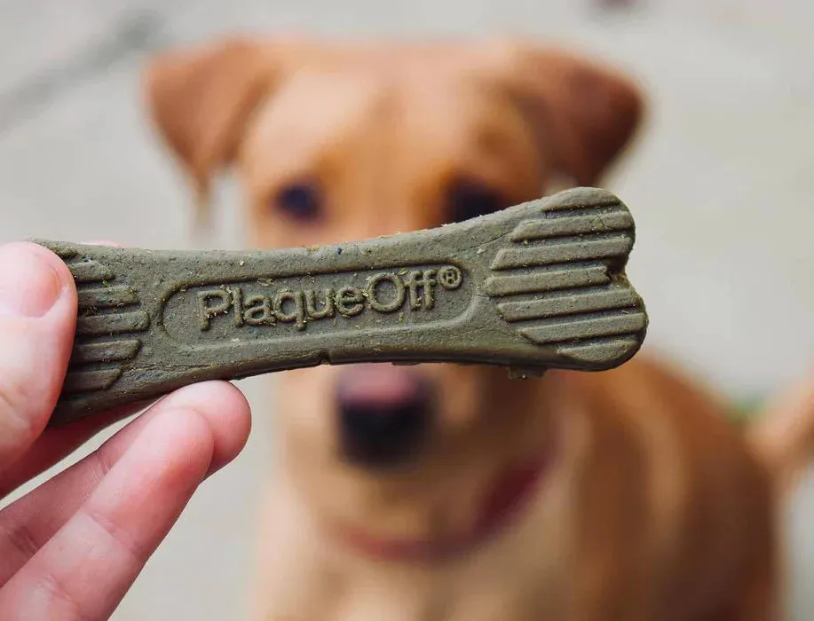 ProDen Plaque Off - Dental Dog Bones - Mint Fusion