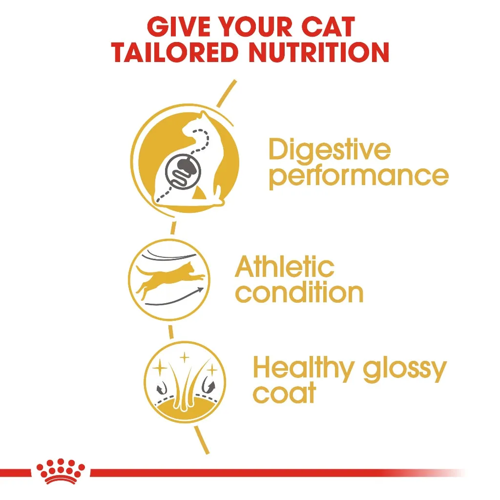 Royal Canin Bengal Adult 2kg Dry Cat Food - Feline Breed Nutrition