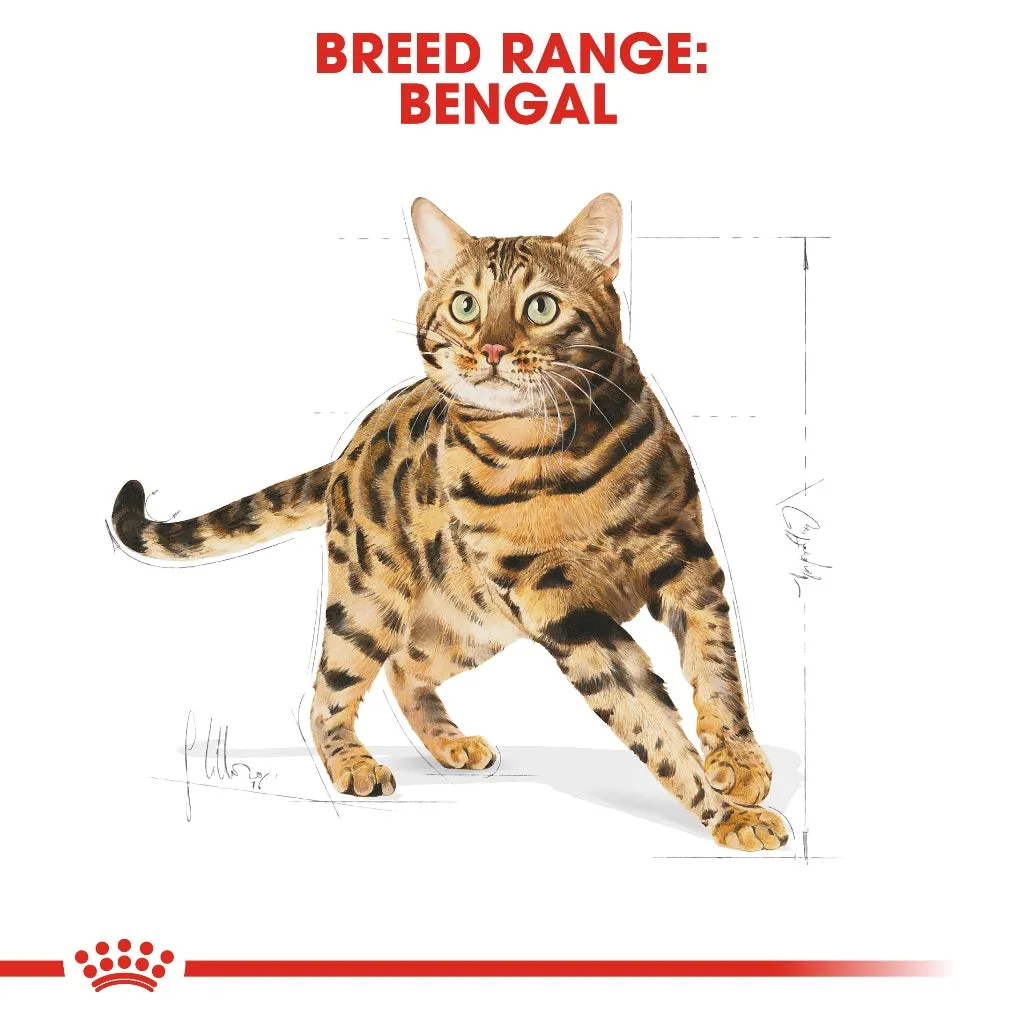 Royal Canin Bengal Adult 2kg Dry Cat Food - Feline Breed Nutrition