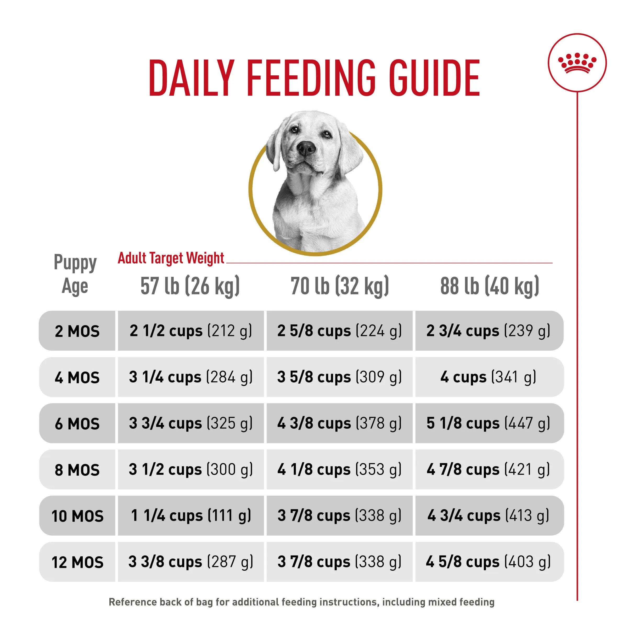 Royal Canin® Breed Health Nutrition® Labrador Retriever Puppy Dry Puppy Food