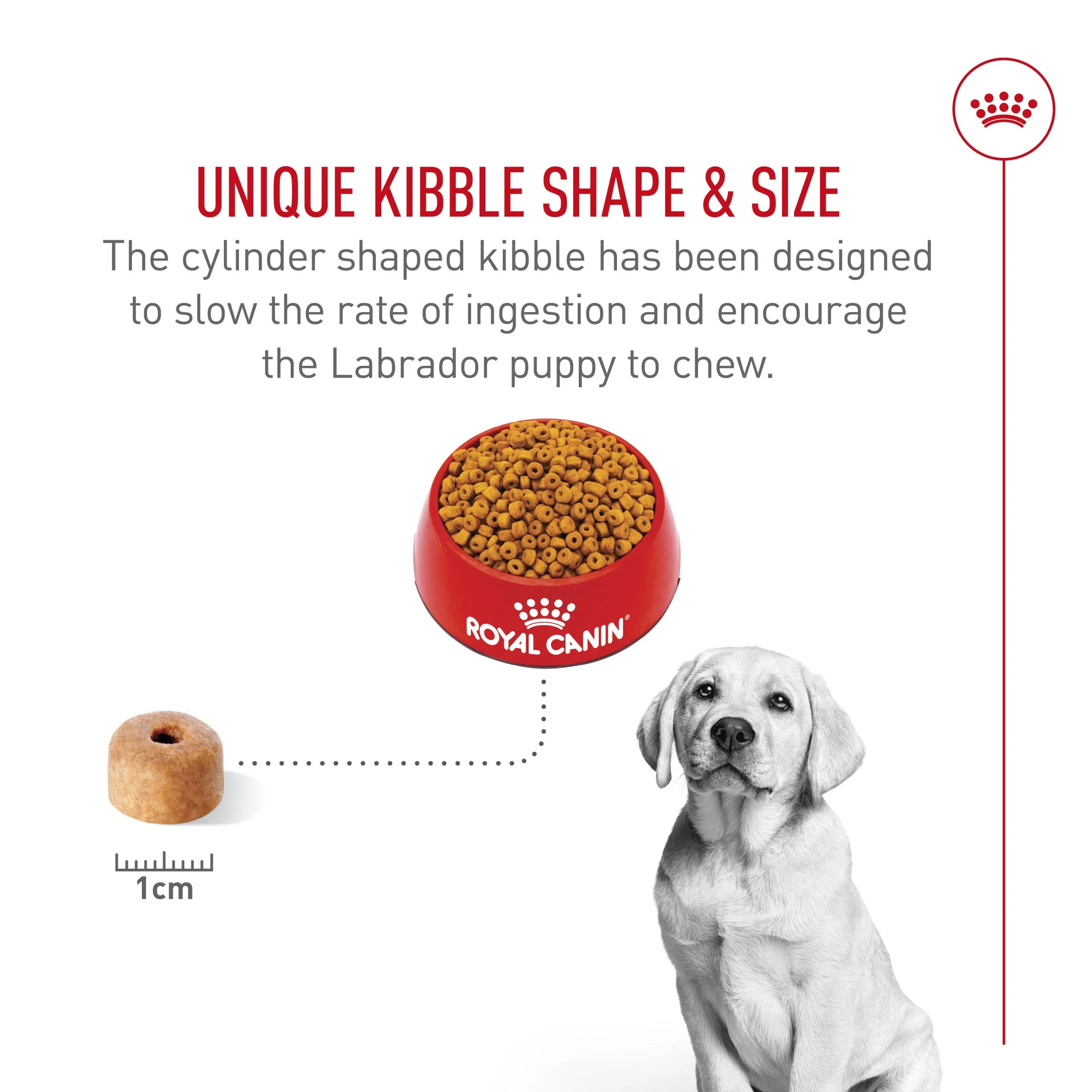 Royal Canin® Breed Health Nutrition® Labrador Retriever Puppy Dry Puppy Food