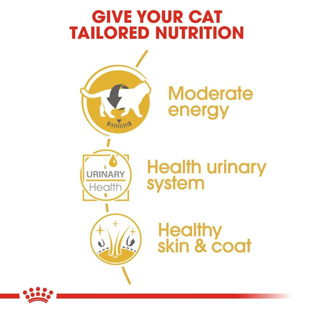 Royal Canin British Shorthair Adult 85g Pouch Wet Cat Food - Feline Breed Nutrition