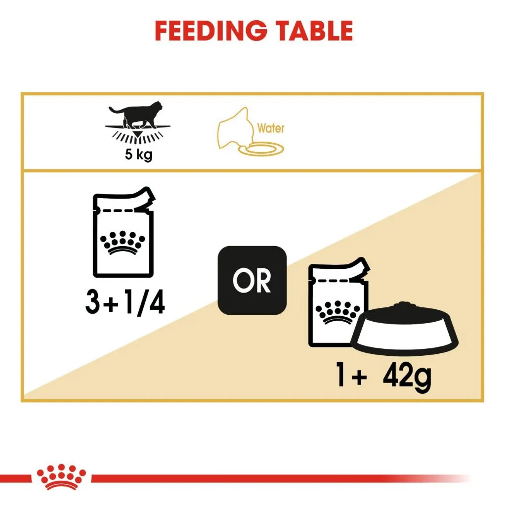 Royal Canin British Shorthair Adult 85g Pouch Wet Cat Food - Feline Breed Nutrition