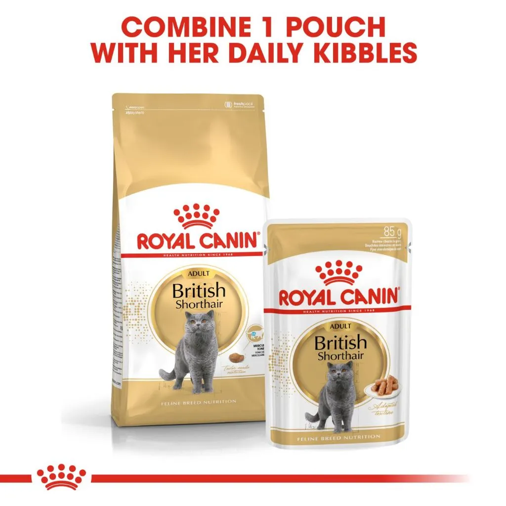Royal Canin British Shorthair Adult 85g Pouch Wet Cat Food - Feline Breed Nutrition