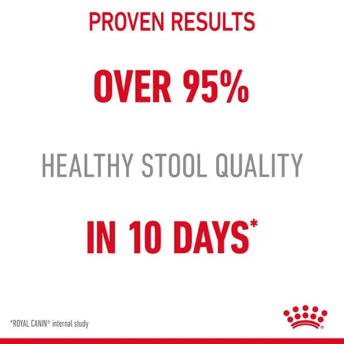 Royal Canin Digestive Care Thin Slices In Gravy Wet Pet Food For Cats