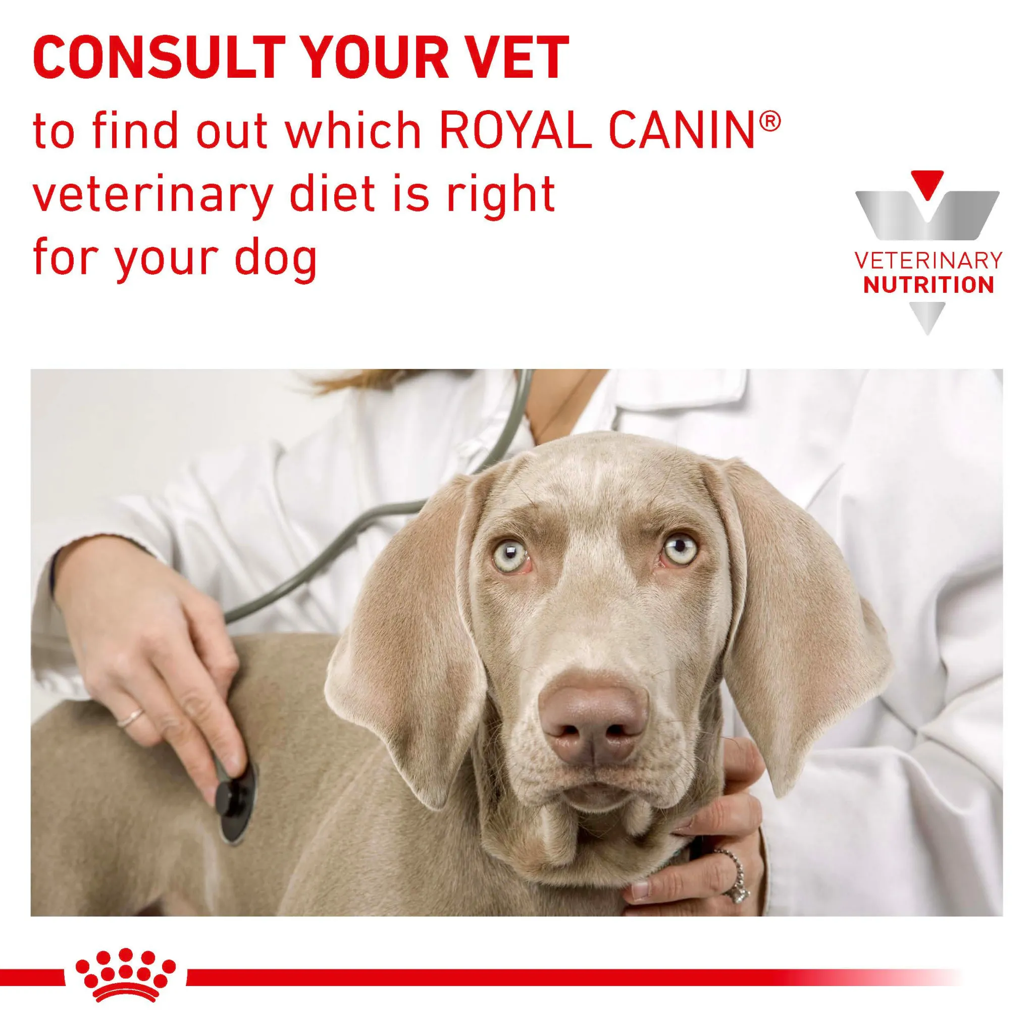ROYAL CANIN® Early Renal Adult Dry Dog Food