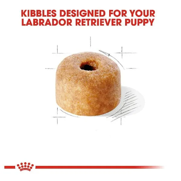 Royal Canin Labrador Retriever Puppy Dry Dog Food, 30lb