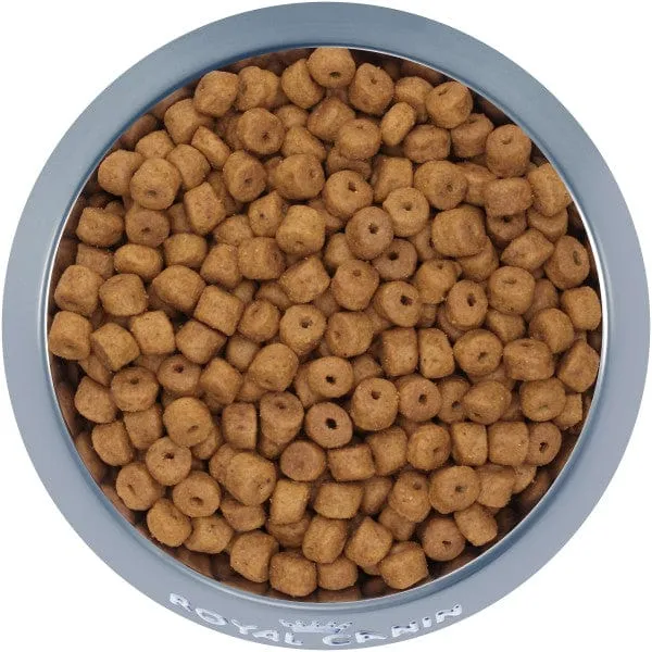Royal Canin Labrador Retriever Puppy Dry Dog Food, 30lb