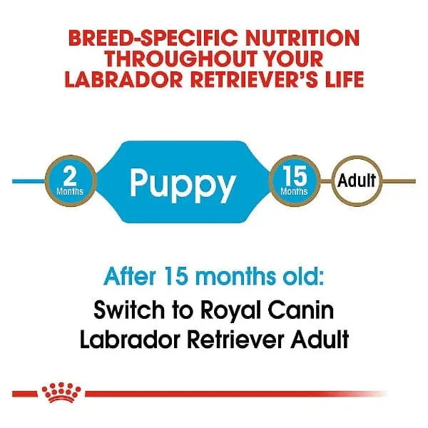 Royal Canin Labrador Retriever Puppy Dry Dog Food, 30lb