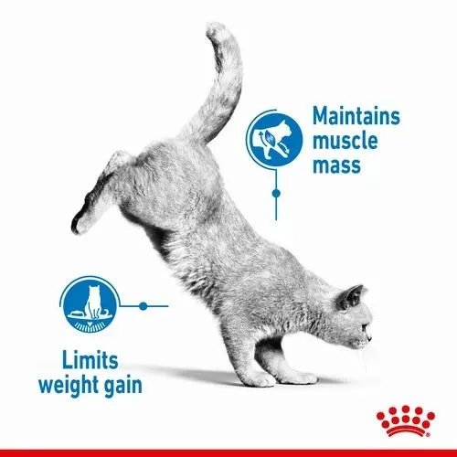 Royal Canin Light Weight Care Adult Cat Food 1.5kg