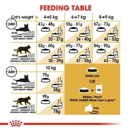 Royal Canin Maine Coon Adult Cat Food 2kg