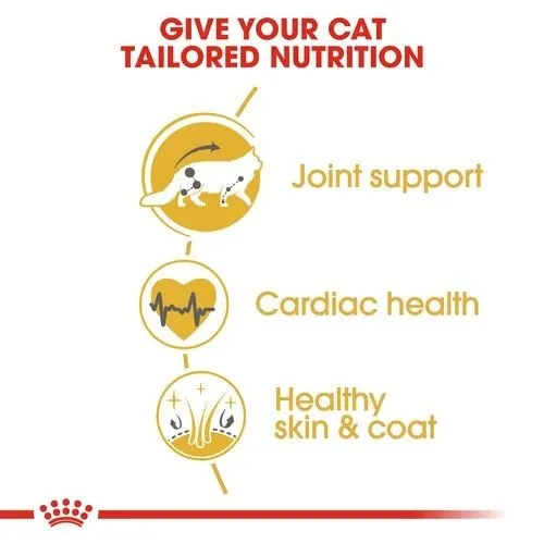 Royal Canin Maine Coon Adult Cat Food 2kg